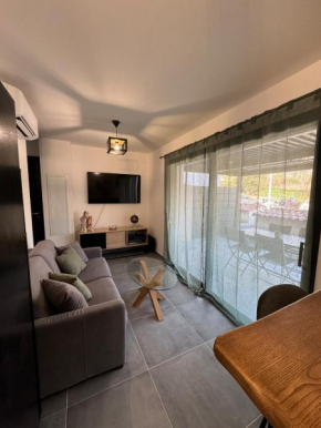 T2 duplex en RDC